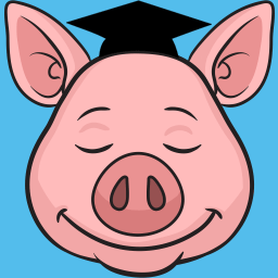 Happy Pig Sleeping