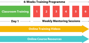 wordpress-mentored-training-programme