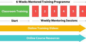 6-weeks-wordpress-mentored-training-programme