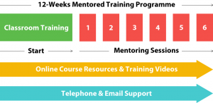 seo-mentored-training-programme-1