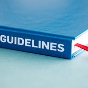 Search Quality Evaluator Guidelines