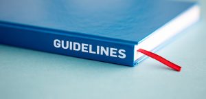Search Quality Evaluator Guidelines
