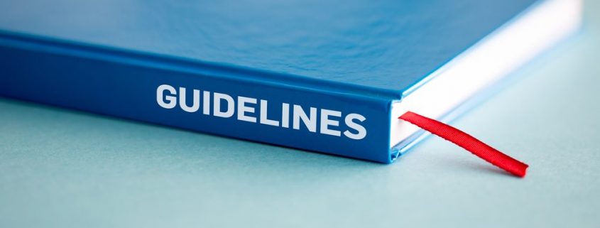 Search Quality Evaluator Guidelines